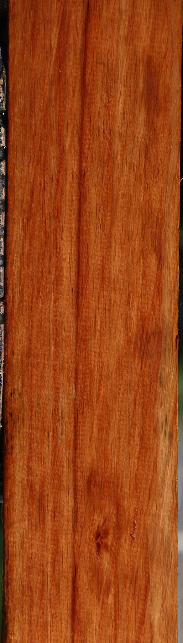Tasmanian Blackwood Lumber