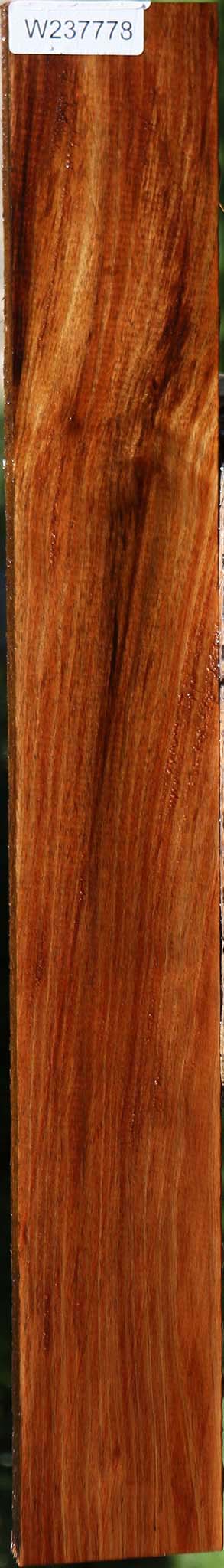 Tasmanian Blackwood Lumber