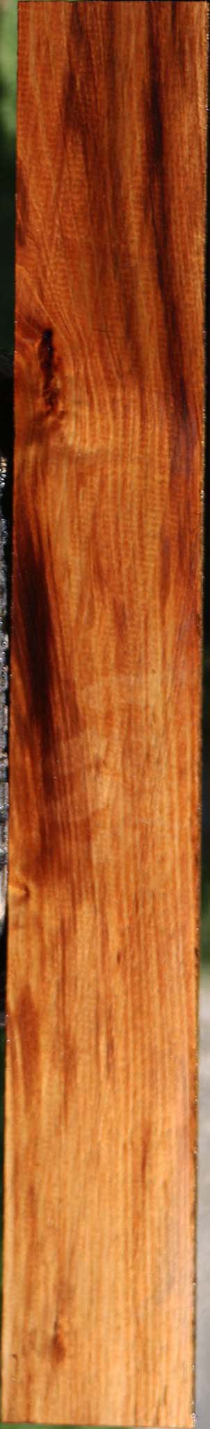 Tasmanian Blackwood Lumber