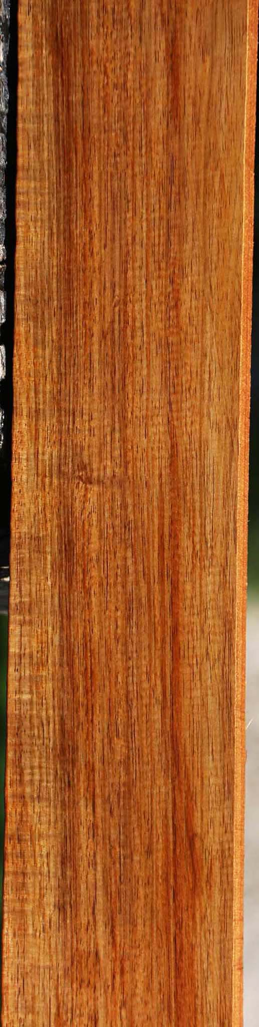 Figured Tasmanian Blackwood Lumber