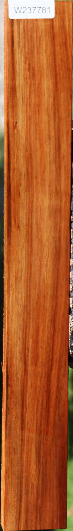 Tasmanian Blackwood Lumber