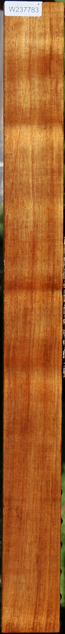 Tasmanian Blackwood Lumber