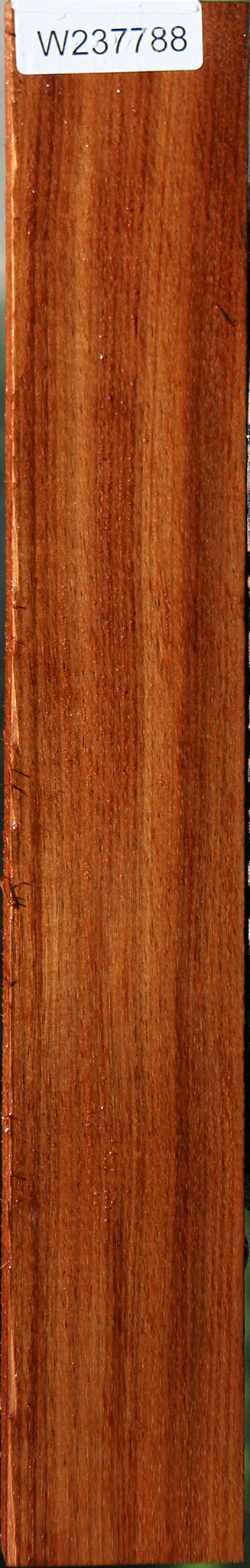 Tasmanian Blackwood Lumber