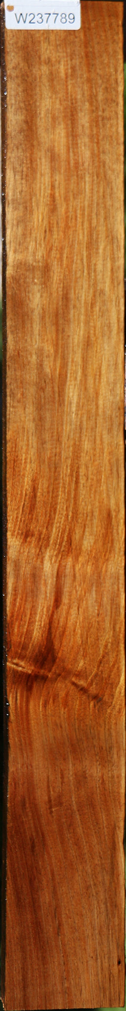 Figured Tasmanian Blackwood Lumber