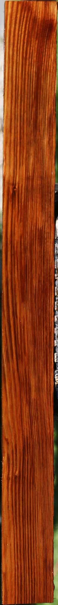 Tasmanian Blackwood Lumber