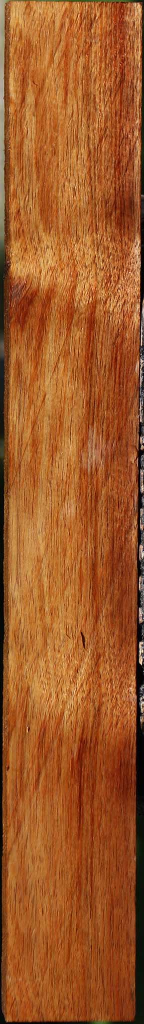 Tasmanian Blackwood Lumber