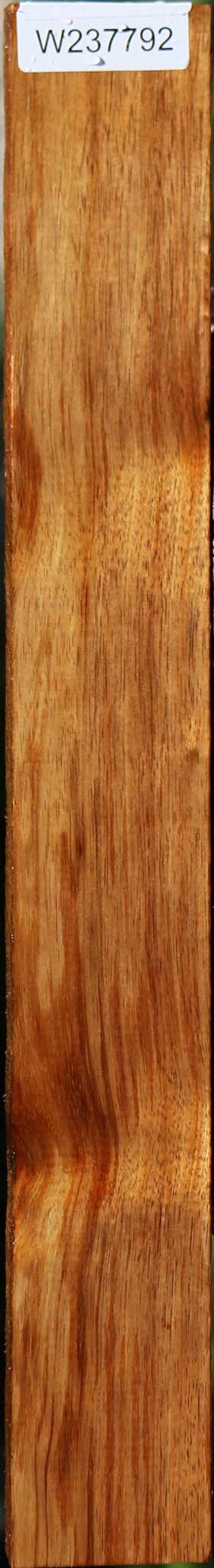Tasmanian Blackwood Lumber