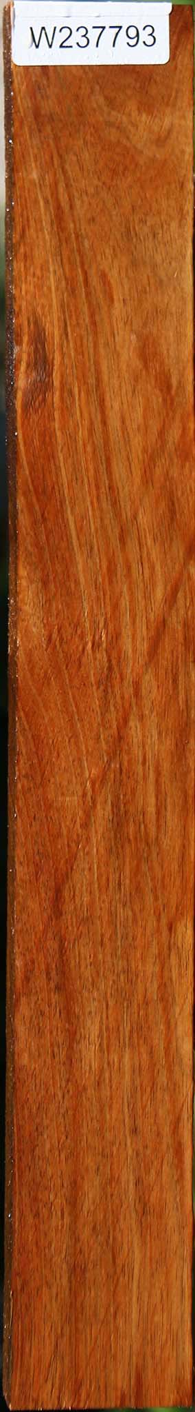 Tasmanian Blackwood Lumber