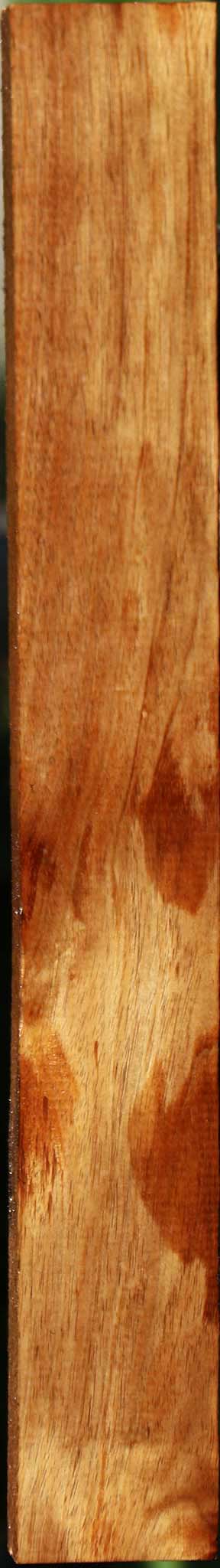 Tasmanian Blackwood Lumber