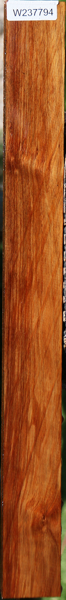 Tasmanian Blackwood Lumber