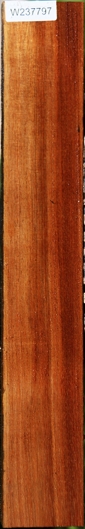 Figured Tasmanian Blackwood Lumber