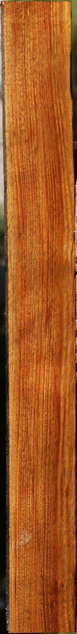 Tasmanian Blackwood Lumber
