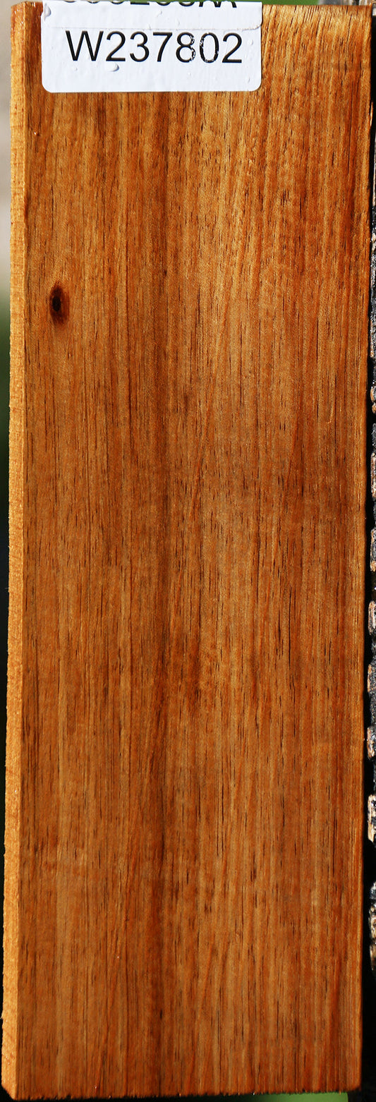 Tasmanian Blackwood Lumber