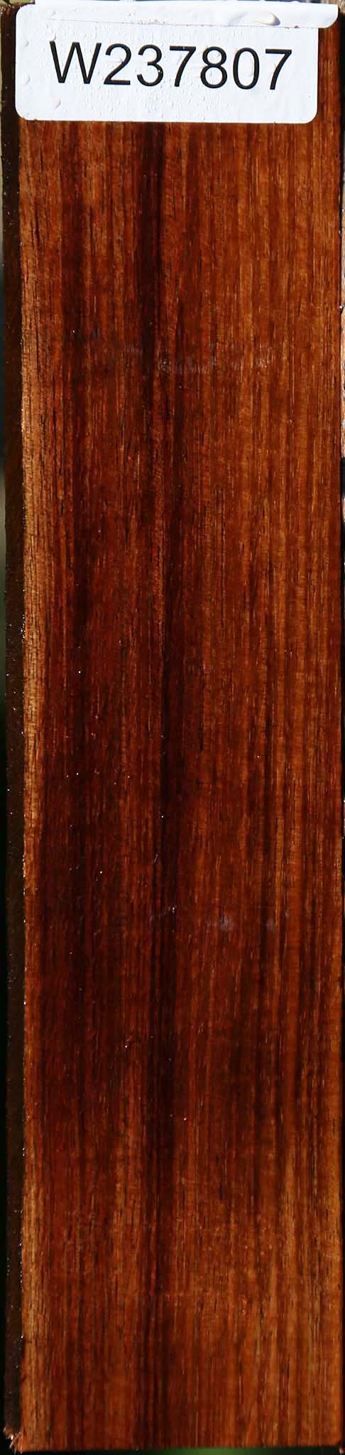 Tasmanian Blackwood Lumber