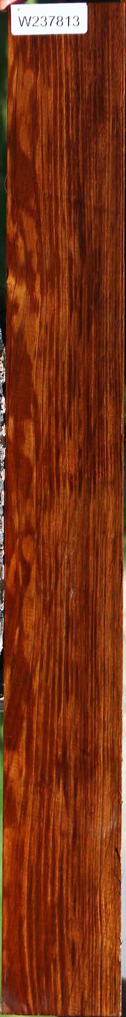 Extra Fancy Tasmanian Blackwood Micro Lumber