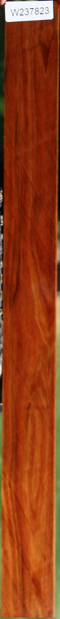 Tasmanian Blackwood Micro Lumber