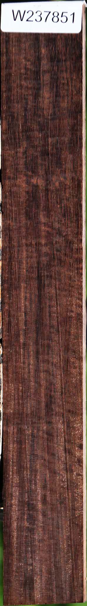 Extra Fancy Brazilian Ebony Lumber