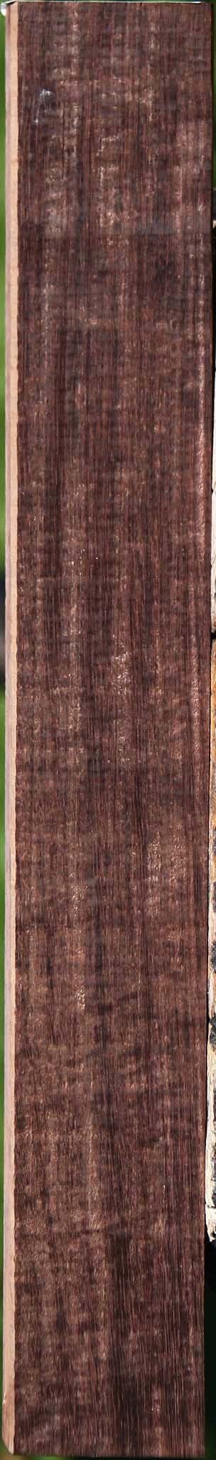 Extra Fancy Brazilian Ebony Lumber