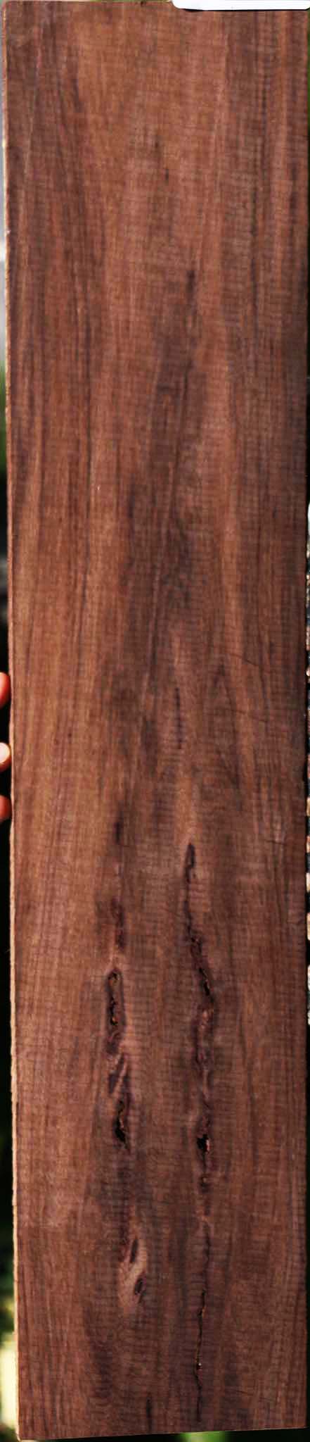 Rustic Brazilian Ebony Lumber