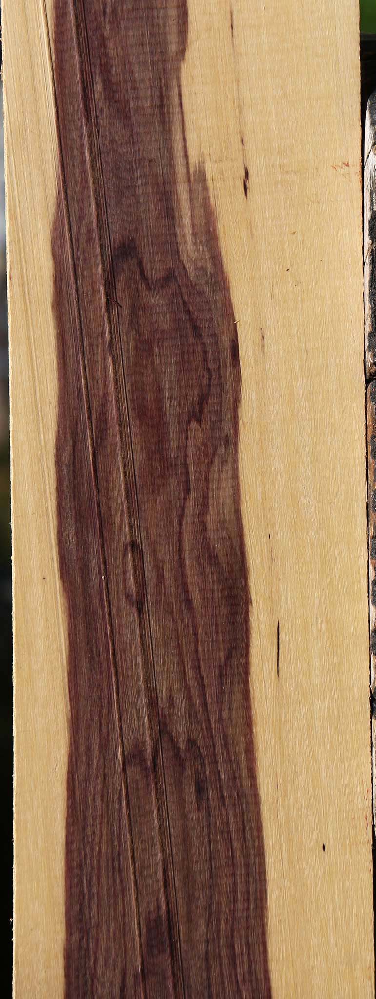 Brazilian Ebony Lumber