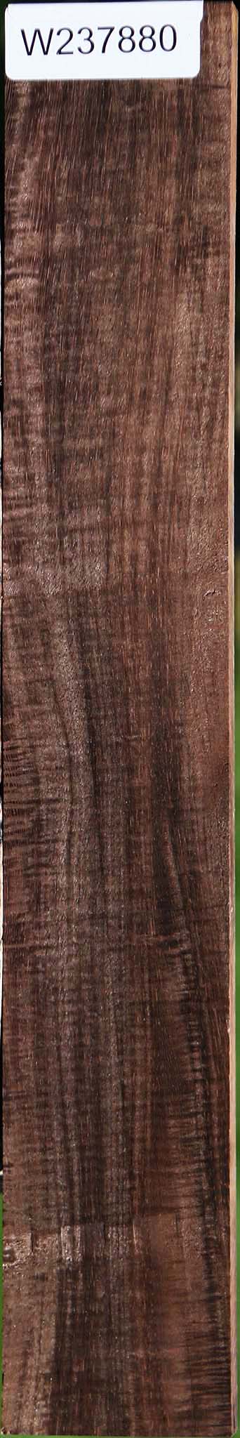 Extra Fancy Brazilian Ebony Lumber