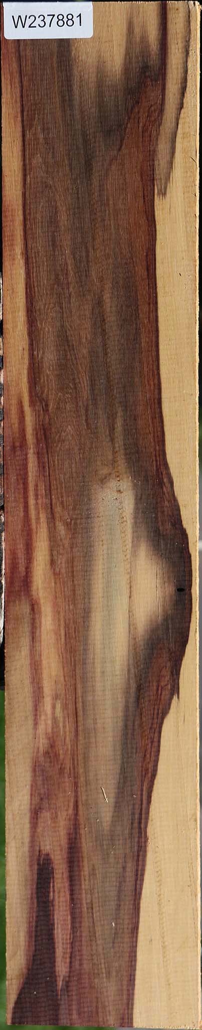 Figured Brazilian Ebony Micro Lumber