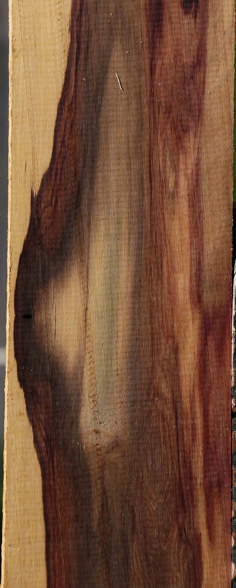 Figured Brazilian Ebony Micro Lumber