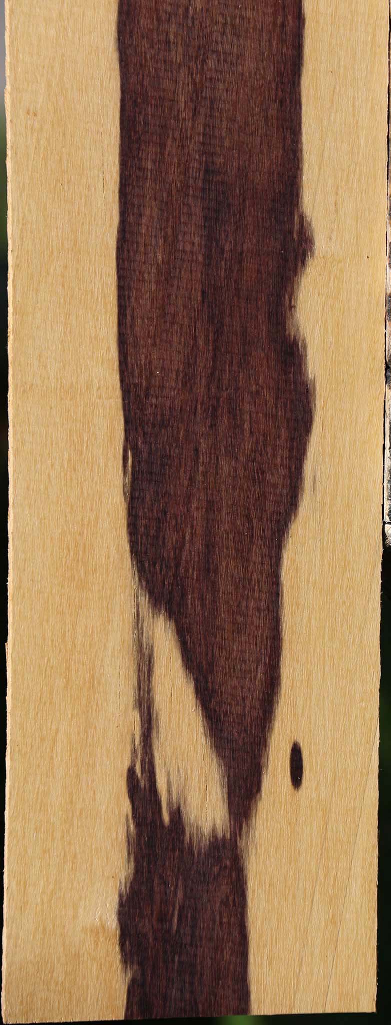 Brazilian Ebony Micro Lumber