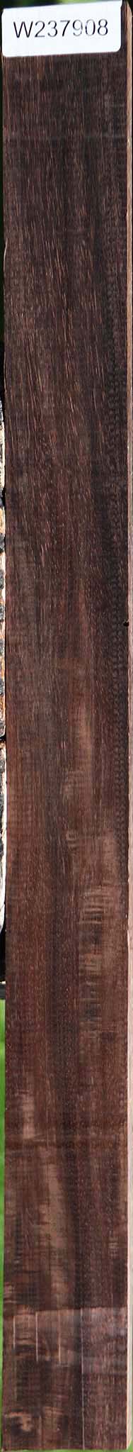 Extra Fancy Brazilian Ebony Lumber