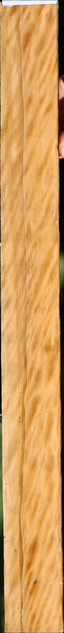 Extra Fancy Castello Boxwood Micro Lumber