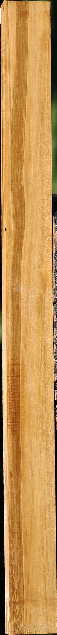 Castello Boxwood Lumber