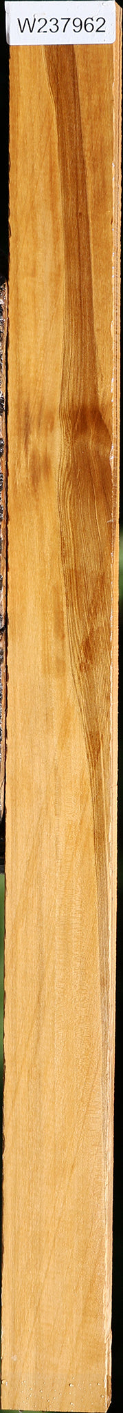 Castello Boxwood Lumber