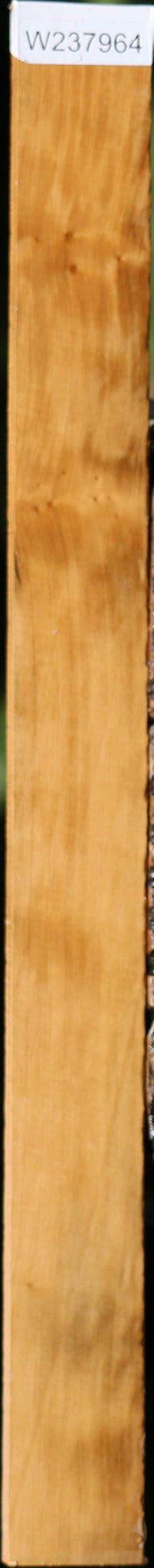 Castello Boxwood Lumber