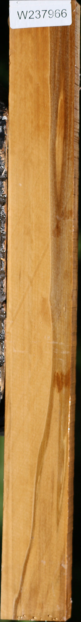 Castello Boxwood Lumber