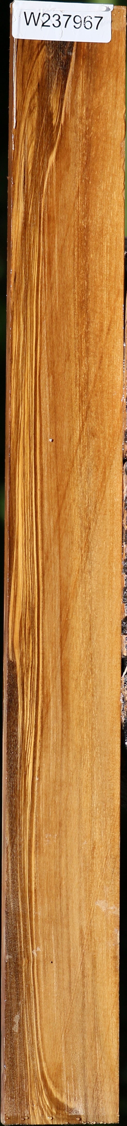 Castello Boxwood Micro Lumber