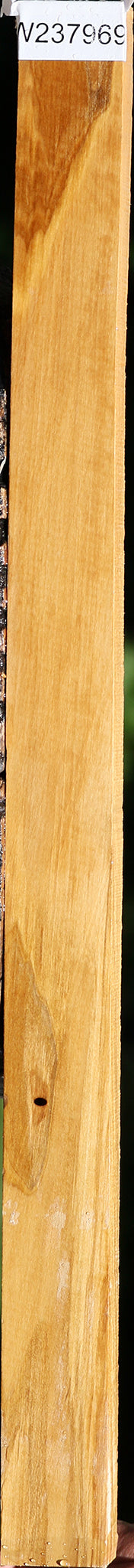 Castello Boxwood Lumber