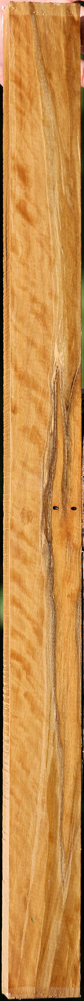 Extra Fancy Castello Boxwood Lumber