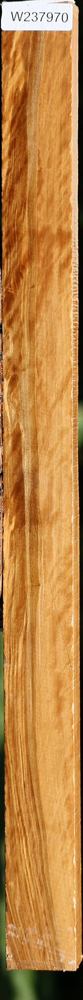 Extra Fancy Castello Boxwood Lumber