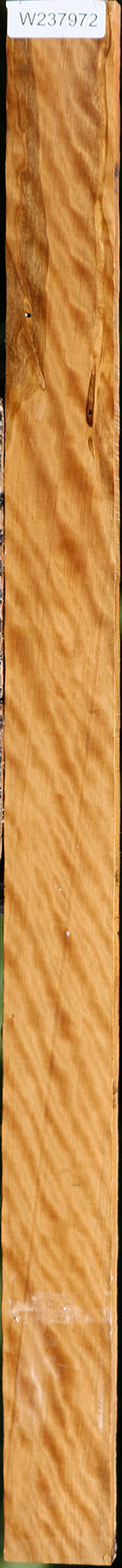 Extra Fancy Castello Boxwood Lumber