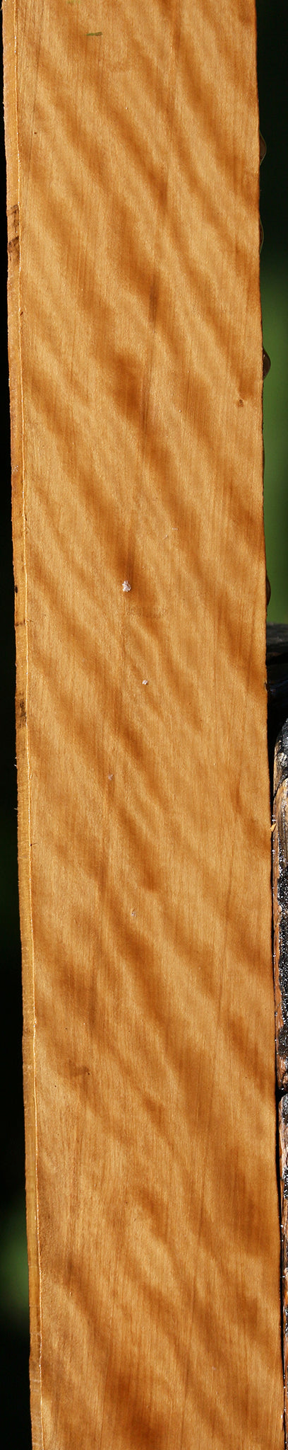 Extra Fancy Castello Boxwood Lumber