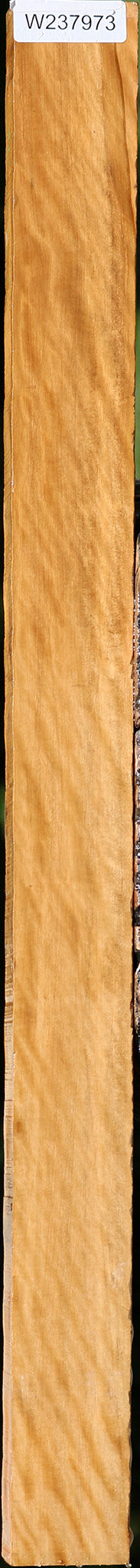 Extra Fancy Castello Boxwood Lumber