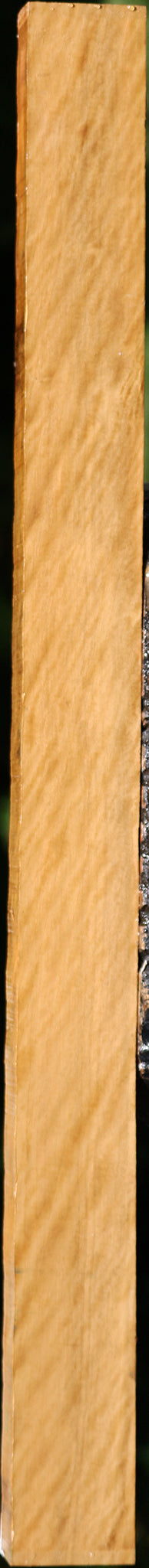 Extra Fancy Castello Boxwood Lumber