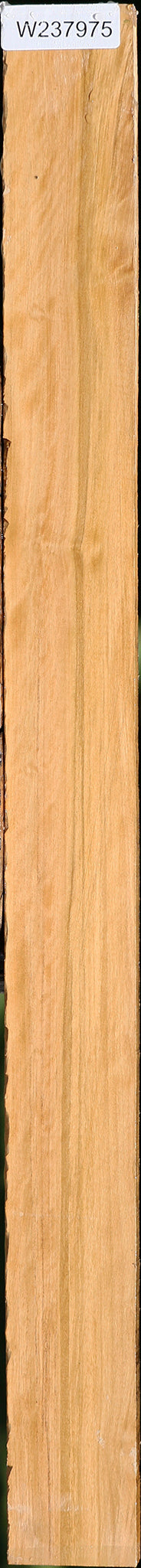 Castello Boxwood Lumber