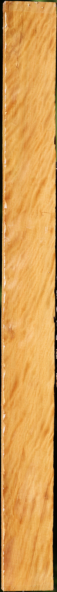 Extra Fancy Castello Boxwood Lumber