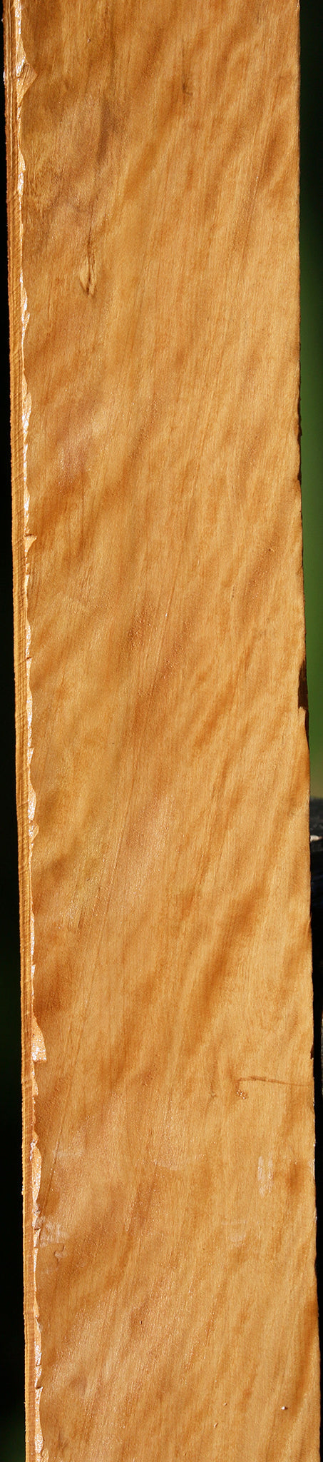 Extra Fancy Castello Boxwood Lumber