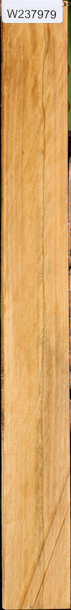 Castello Boxwood Lumber