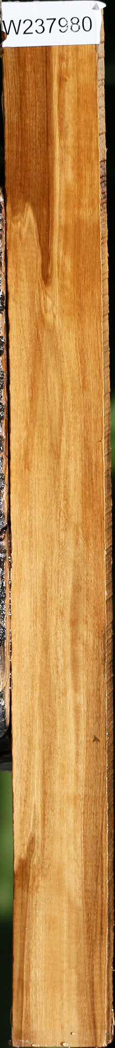 Castello Boxwood Lumber