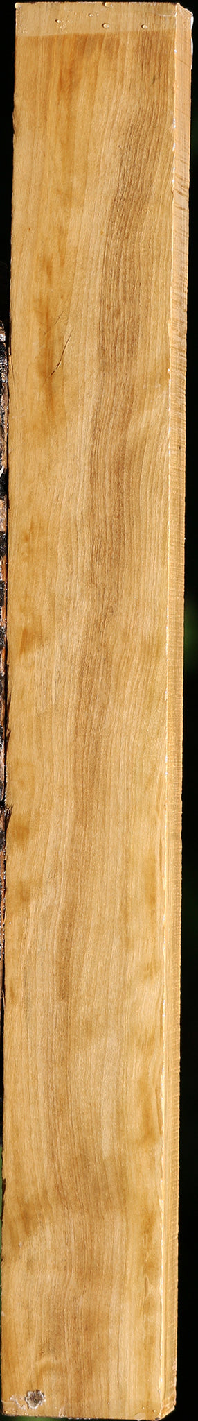 Figured Castello Boxwood Lumber