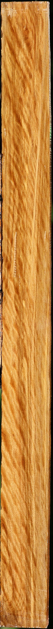 Extra Fancy Castello Boxwood Lumber