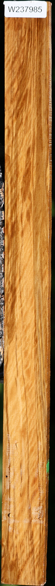 Extra Fancy Castello Boxwood Lumber